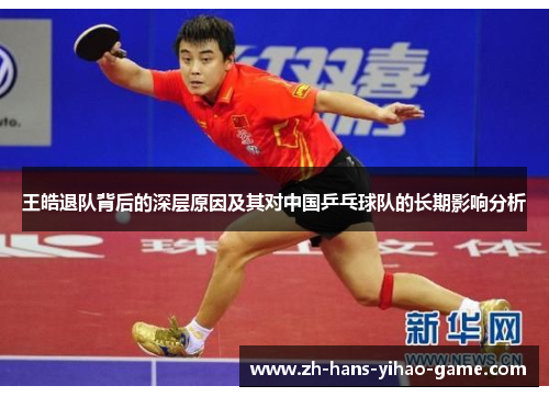 王皓退队背后的深层原因及其对中国乒乓球队的长期影响分析 王皓退队背后的深层原因及其对中国乒乓球队的长期影响分析